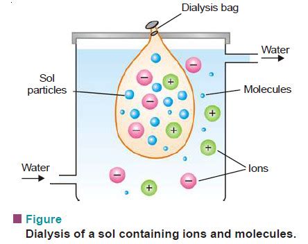 Preparation Of Sols And Purification Of Sols Read Chemistry