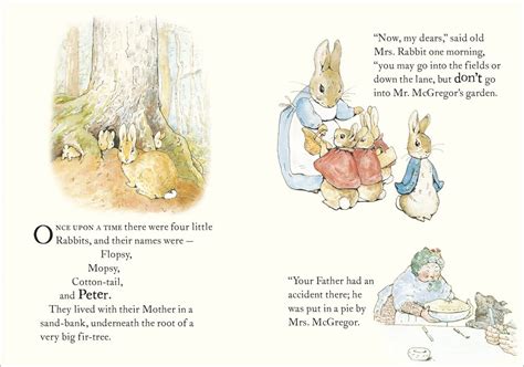 The Tale Of Peter Rabbit Scholastic Shop