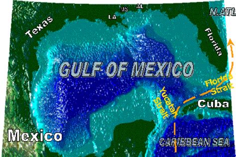 Gulf of Mexico bathymetry and position of the Loop Current. | Download Scientific Diagram