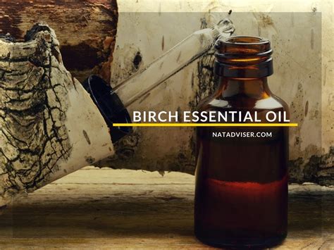 Birch Essential Oil Benefits Natural Recipes And Tips