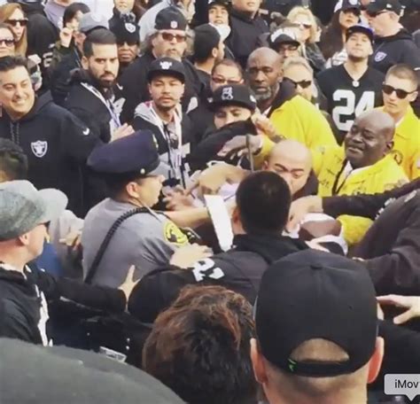 Raiders Fans Fight Each Other in Stands During Panthers Game (Video ...