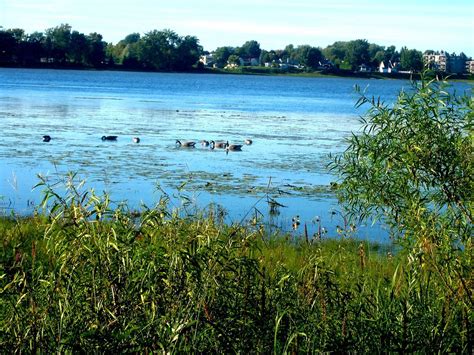 THE 10 BEST Things to Do in Laval (2025) - Must-See Attractions