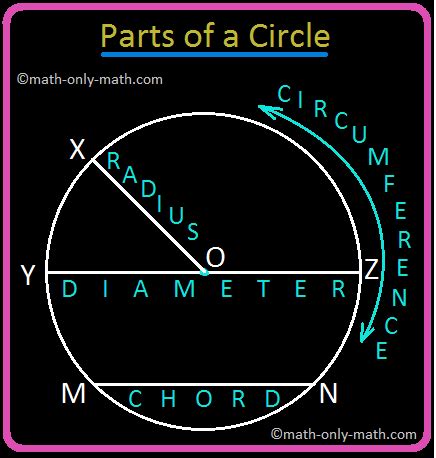 Practical Geometry | Ruler | Set-Squares | Protractor |Compass|Divider