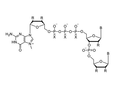 MRNA Raw Material Products Jiangsu Synthgene Biotechnology Co Ltd