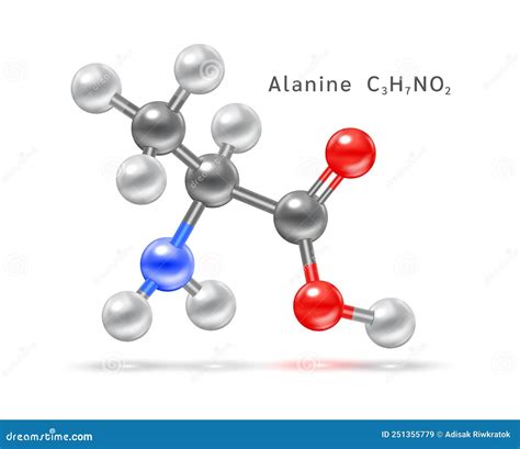 Structure Of Amino Acid Symbol Alanine Ala A Structural Chemical Formula And Molecule Model