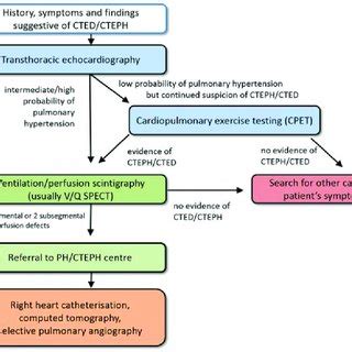 Cteph Diagnostic Algorithm Adapted From Wikens H Ulrich S Consensus