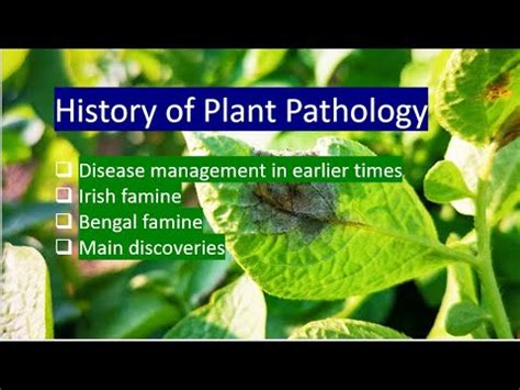 Tracing The History Of Plant Pathology Plant Diseases Disciplines In