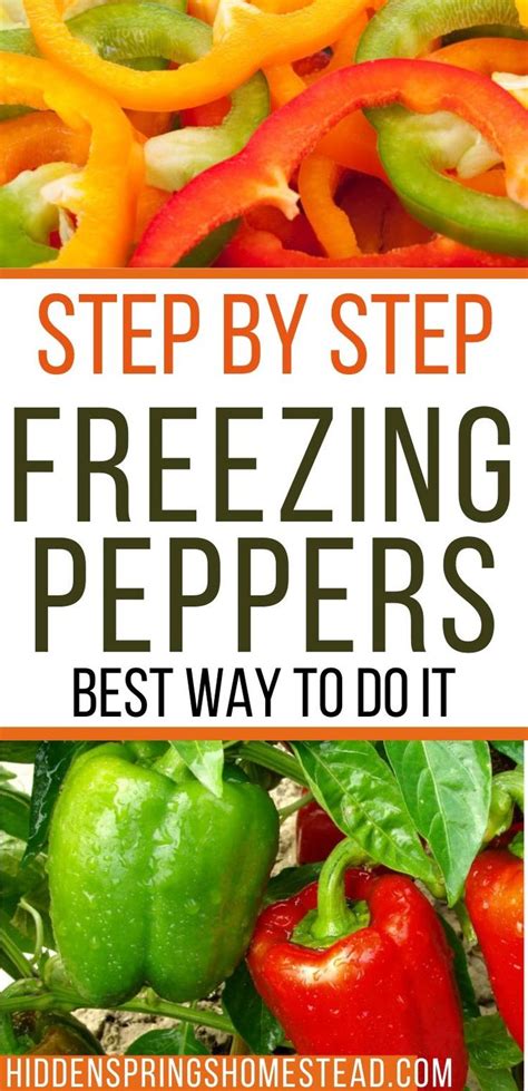 You Can Learn How To Freeze Fresh Peppers Stuffed Peppers Freezing