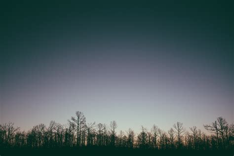 Wallpaper Sunlight Trees Landscape Night Grass Sky Sunrise