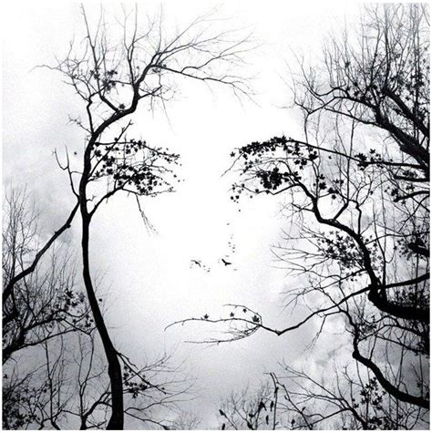 Tree With Faces Illusion Shenita Ritter