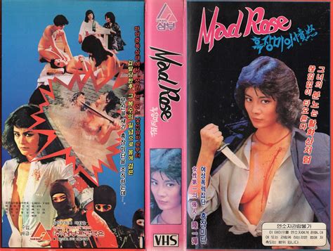 Seoul Korea Vintage VHS Cover Art For Rare Taiwanese Cult Pic Mad Rose