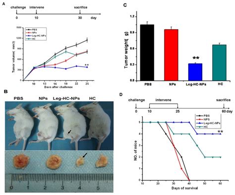 Groups Of Female Bablb C Mice N 5 Were Co Injected With 1×106 4t1 Download Scientific