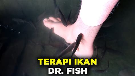 Wajib Dicoba Manfaat Terapi Ikan Untuk Kesehatan Youtube