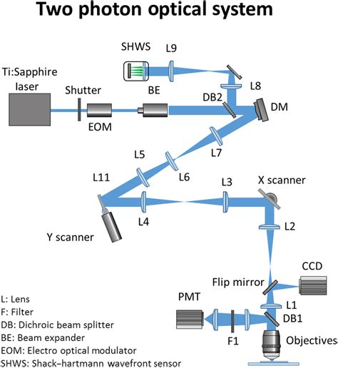 Two Photon Ao Microscope Setup Download Scientific Diagram