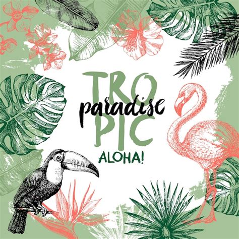 Premium Vector Hand Drawn Sketch Tropical Paradise Plants And Birds
