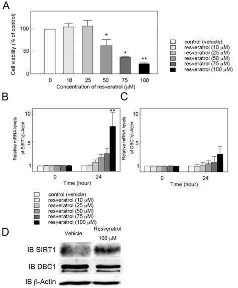 Effect Of Resveratrol On Cell Viability And Expression Of SIRT1 And