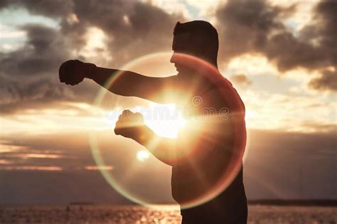 Silhouette Of Athlete Man Boxer Fighter With Boxing Gloves Posing Fight