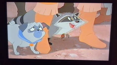 Pocahontas Percy And Meeko