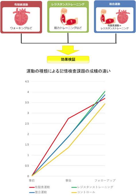 日本健康運動研究所 高齢者の脳の老化予防に効果的なのはウォーキングなど「有酸素運動」 記憶力が低下する前に運動を始めることが大切