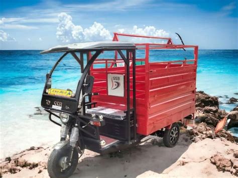 Electric Rickshaw Loader 700 Kg At Rs 145000 In Jodhpur ID