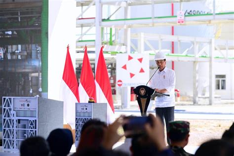 Jokowi Curhat Negara Ngerem Ekspor Beras Imbas Krisis Pangan