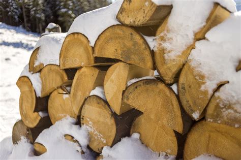 Neatly Piled Stack Of Chopped Dry Trunks Wood Covered With Snow