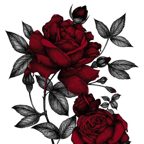 Black Red Tattoo with Red Roses