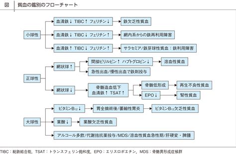 貧血：日経メディカル