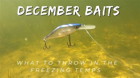 Uncover The Secret December Bass Fishing Baits Watch Underwater