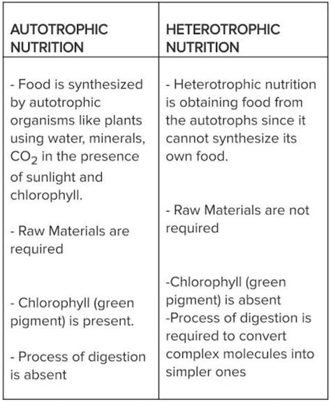 Distinguish Autotrophs From Heterotrophs