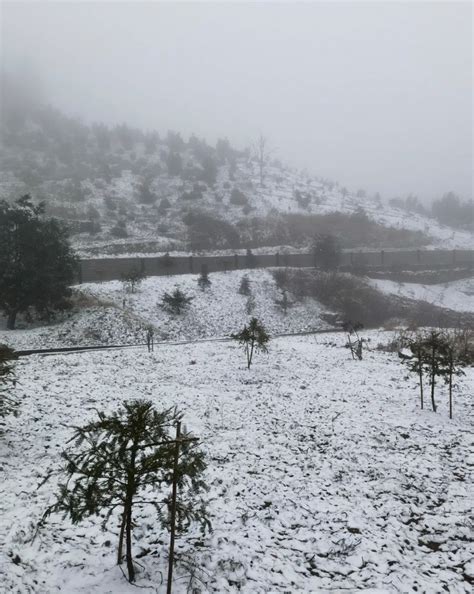 雪还要下，诸暨局部大到暴雪！刚刚，气象台发布黄色预警！澎湃号·政务澎湃新闻 The Paper