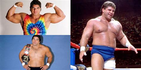 10 Things Wrestling Fans Should Know About Don Muraco