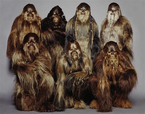 Star Wars Episode 7 News | chewbacca