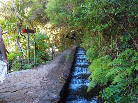 Mad Re Randonn E De Fontes Et Risco Levada Avec Transferts