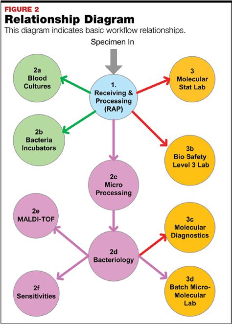 Modern Microbiology Laboratory Planning And Design May 2019