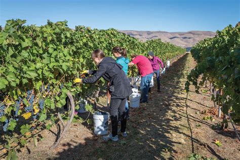 Press Kit Clearwater Canyon Cellars