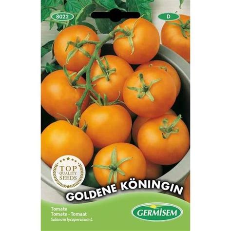 Germisem Graines Tomate Goldene K Ningin Z Cdiscount Jardin