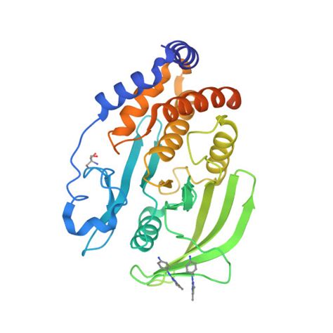 RCSB PDB 5QEG PanDDA Analysis Group Deposition Crystal Structure