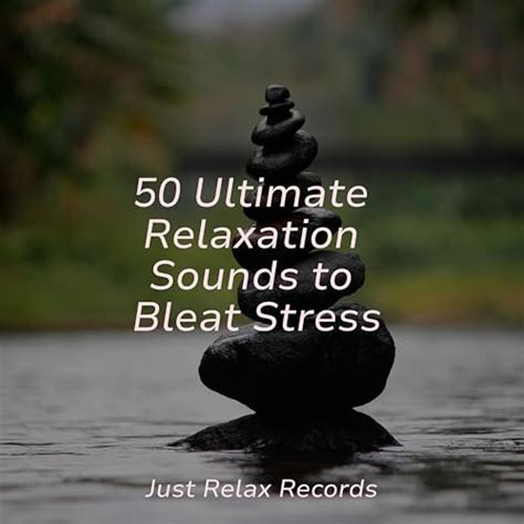 Play Ultimate Relaxation Sounds To Bleat Stress By Thunderstorm