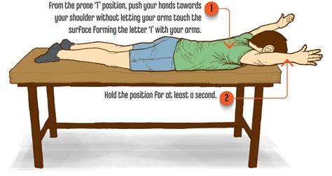 Scapula exercises for posture - Your Body Posture