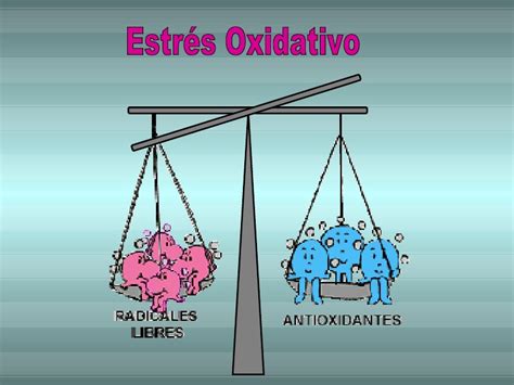 Estrés oxidativo Viada Pupo Correo Científico Médico