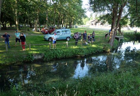 Montréjeau Gourdan Polignan Pointis de Rivière Lactivité de l