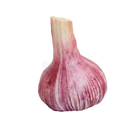 Head of garlic stock image. Image of objects, aromatic - 14967255