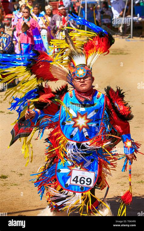 Male Native America Warriors In Ceremonial Costumes At The Wak Pow Wow