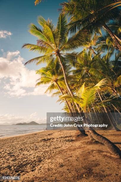 198 Palm Cove Cairns Beach Queensland Stock Photos, High-Res Pictures ...