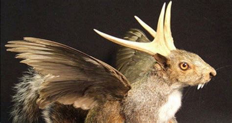 Wolpertinger: The Horned Rabbit From Bavarian Folklore