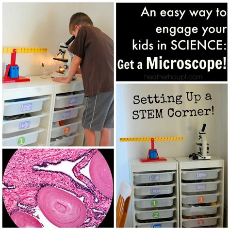 Science Gift Ideas: Microscope Edition (Day 13) - Heather Haupt