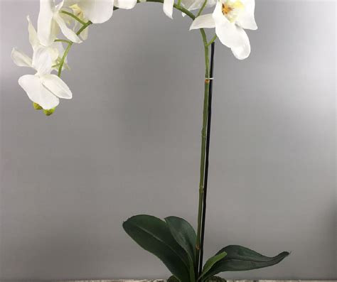 Orchid E Artificielle Tiges De Fleurs Blanches Et Int Jaune Pot