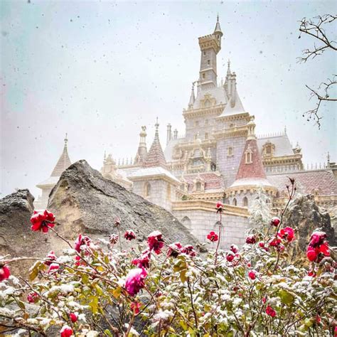 Tokyo Disneyland Covered in Snow in 2022 • TDR Explorer