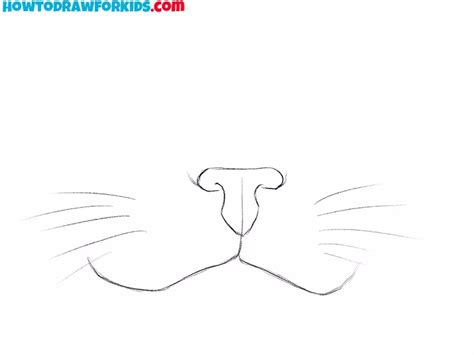 How To Draw A Cat Nose And Mouth Easy Drawing Tutorial For Kids Cat